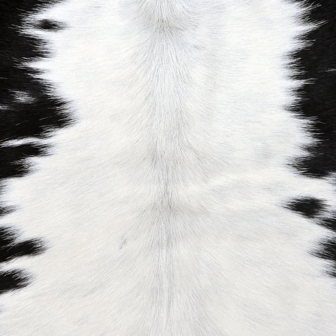 Spotted Spine Cow hide Rug 4X4.5 FT