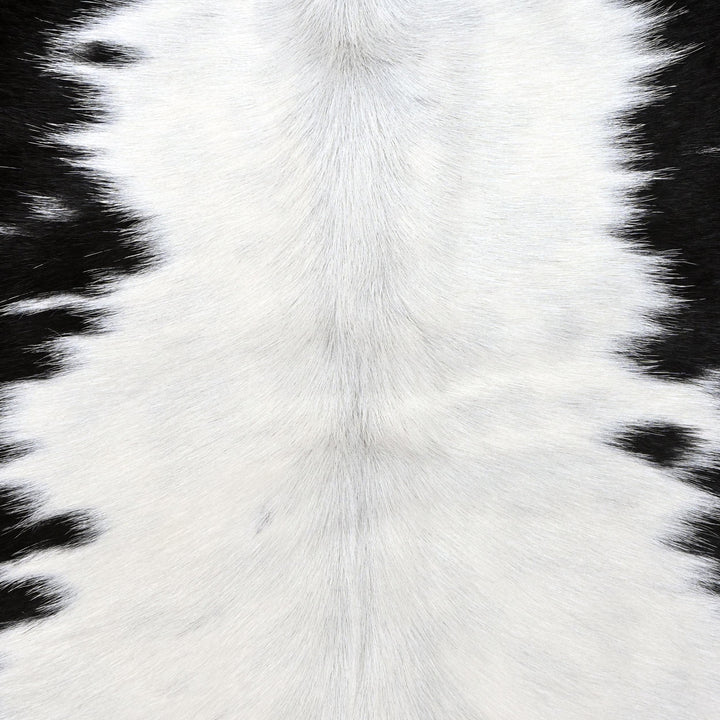 Spotted Spine Cow hide Rug 4X4.5 FT