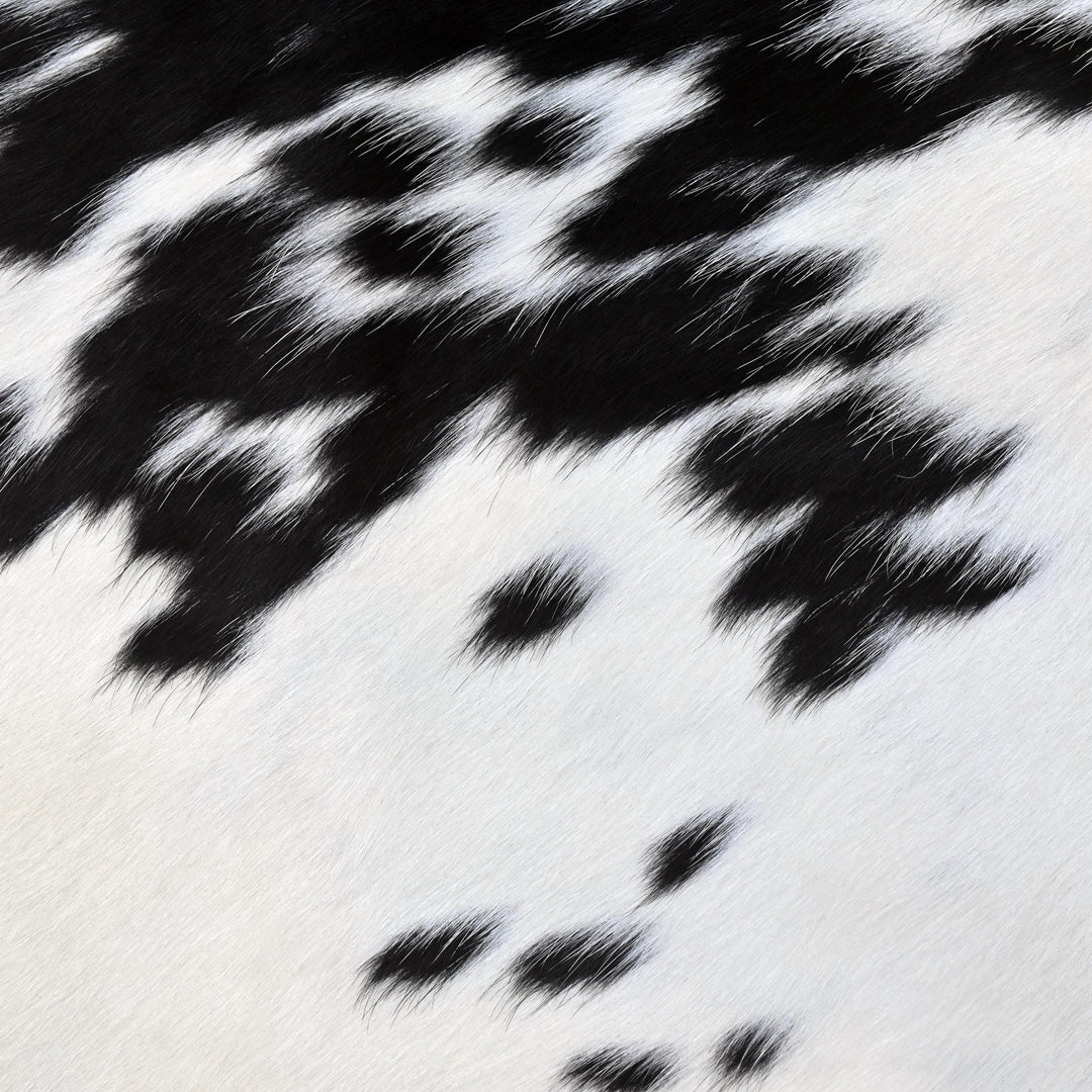 Spotted Spine Cow hide Rug 4X4.5 FT