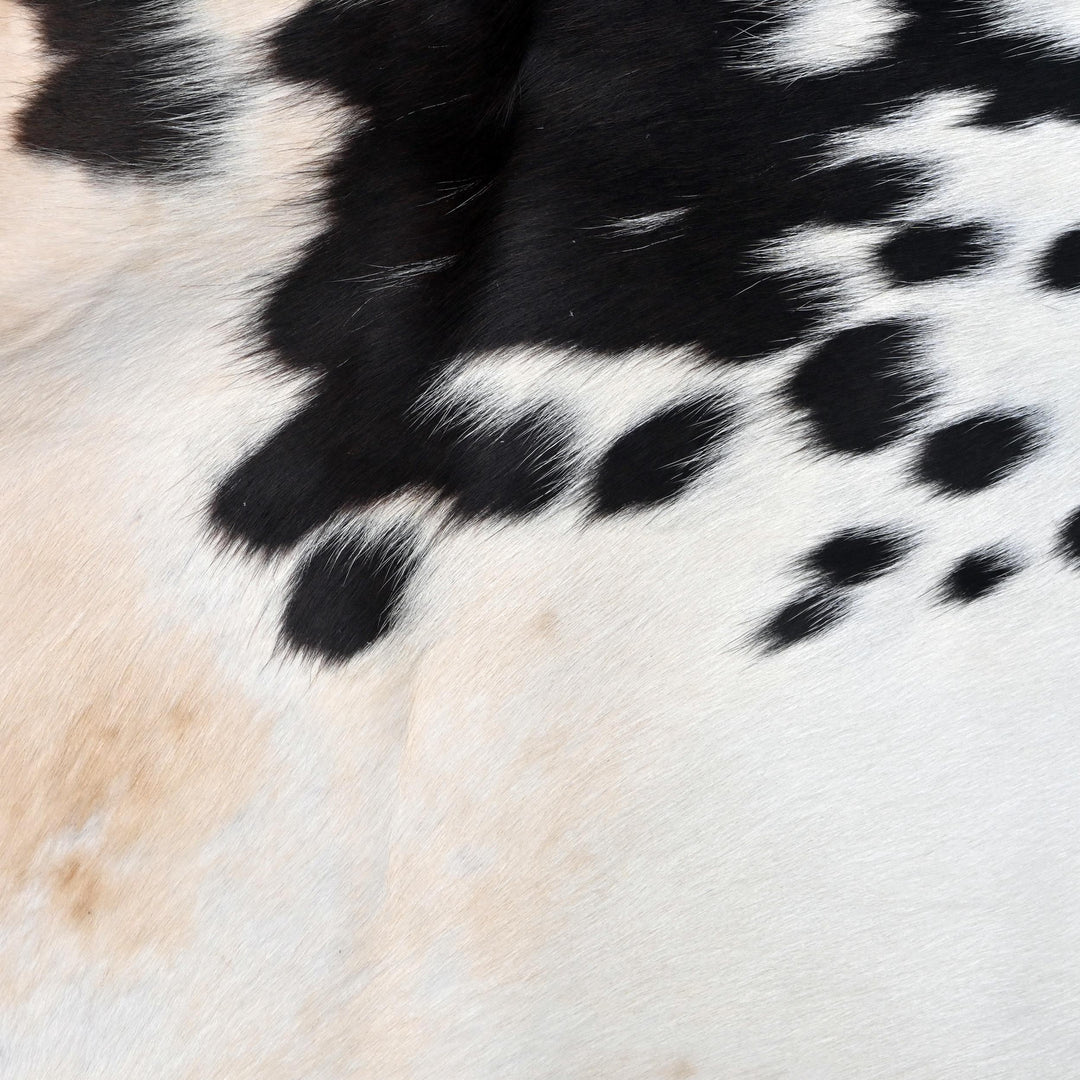 Brazilian Black White Spotted Cow hide Rug 4.5x4.5 FT