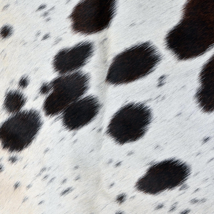 Brazilian Tricolor  Cow Hide 6x6 FT