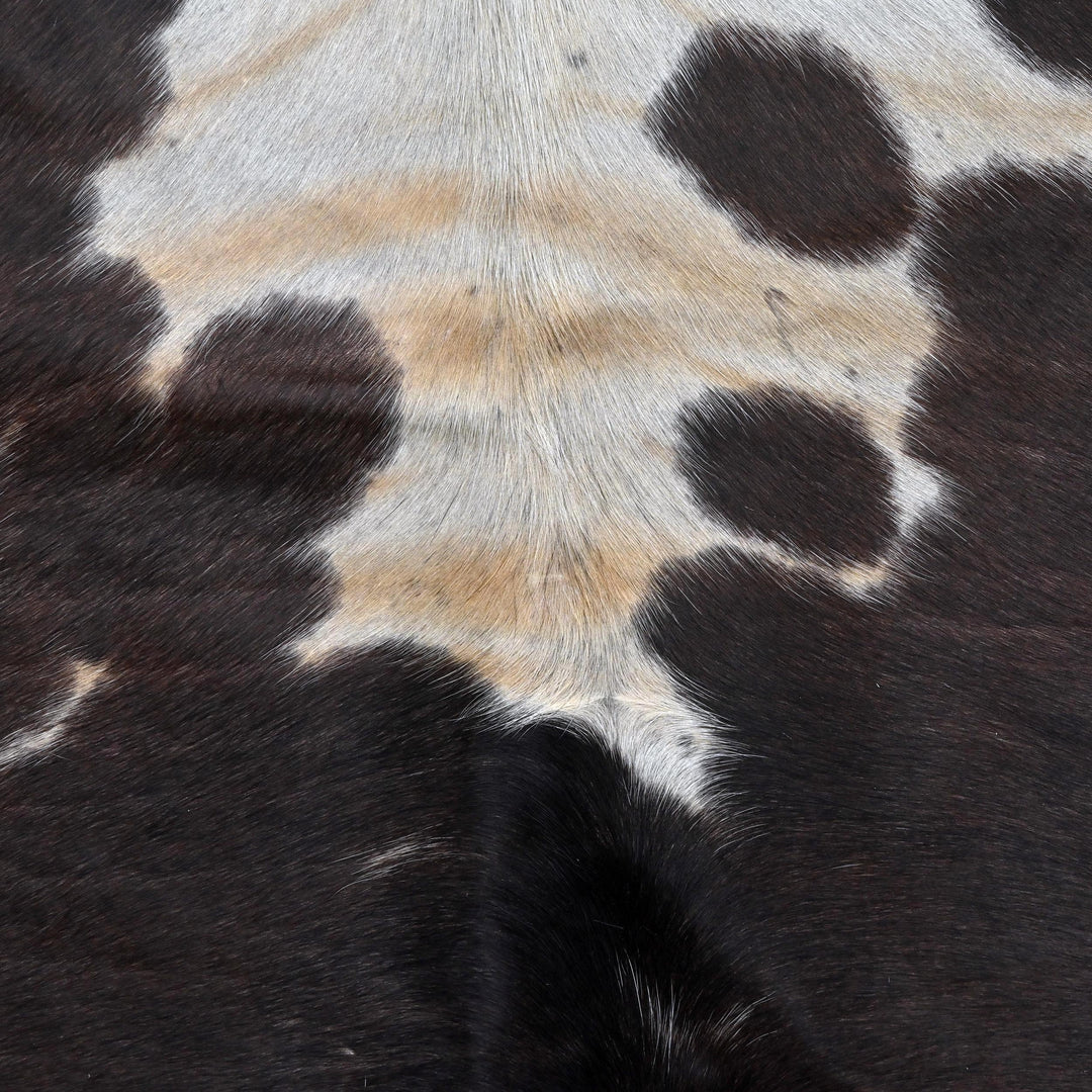 Brazilian Tricolor  Cow Hide 6x6 FT