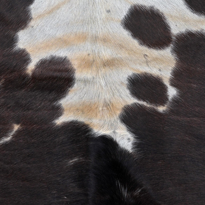 Brazilian Tricolor  Cow Hide 6x6 FT