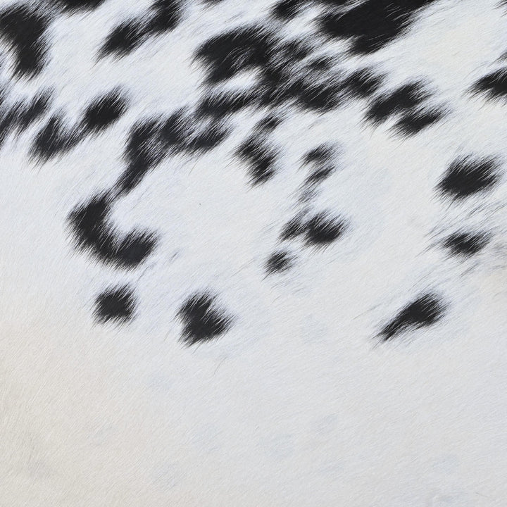 Black & White Cow Hide 5x5 FT