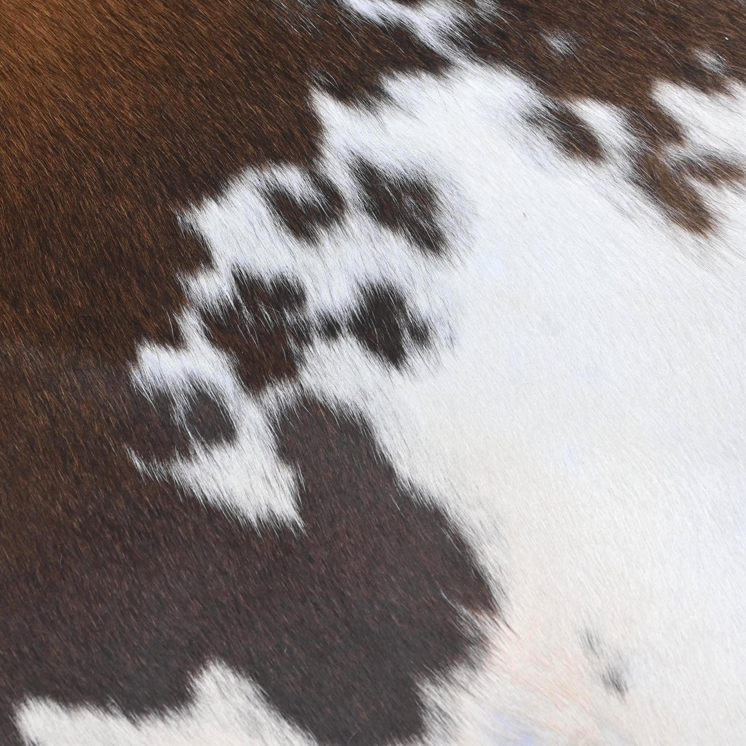 Tricolour Cow Hide 5x5 FT