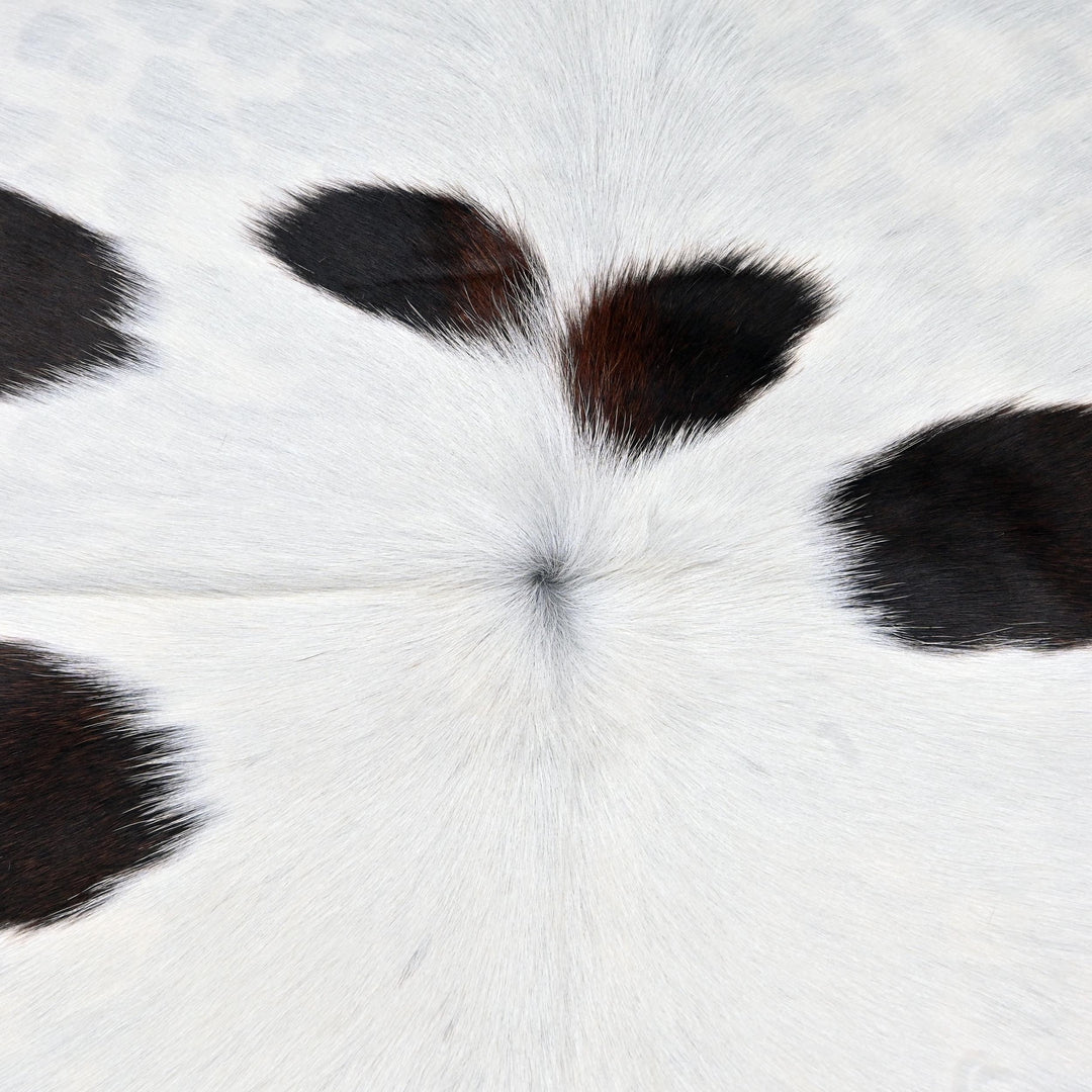 White & Black Spotted Cow Hide 5x5 FT