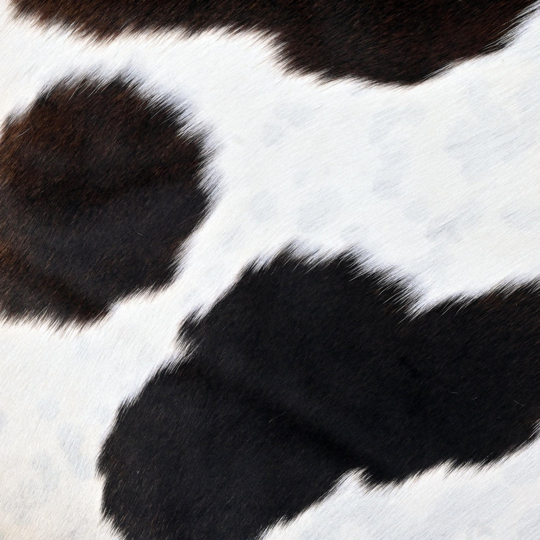 White & Black Spotted Cow Hide 5x5 FT