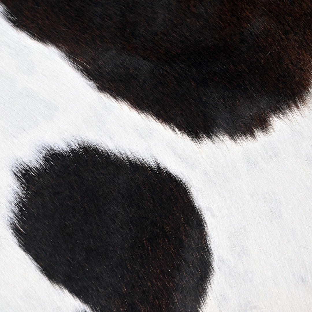White & Black Spotted Cow Hide 5x5 FT