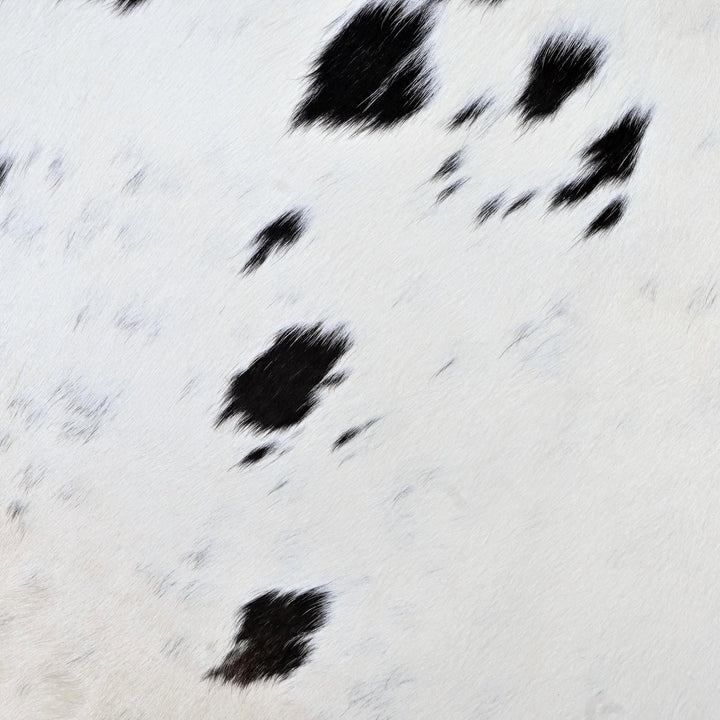 Black & White Spotted Cowhide 4.5X5 FT