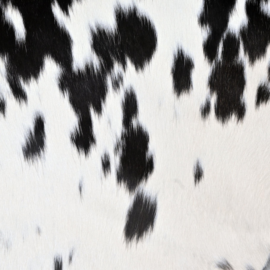 Black & White Spotted Cowhide 4.5X5 FT