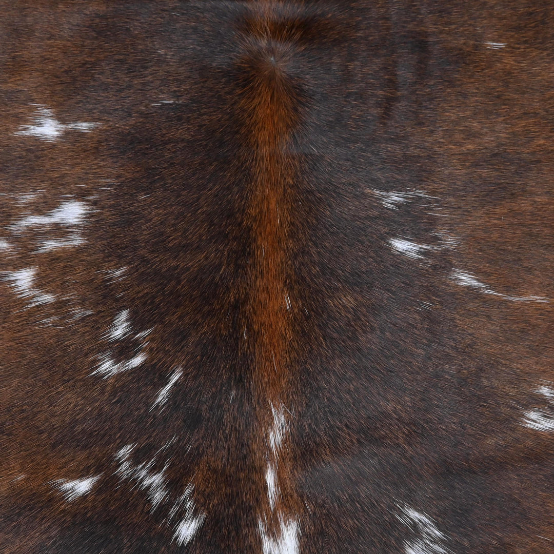 Tricolour Cow Hide 5x5 FT