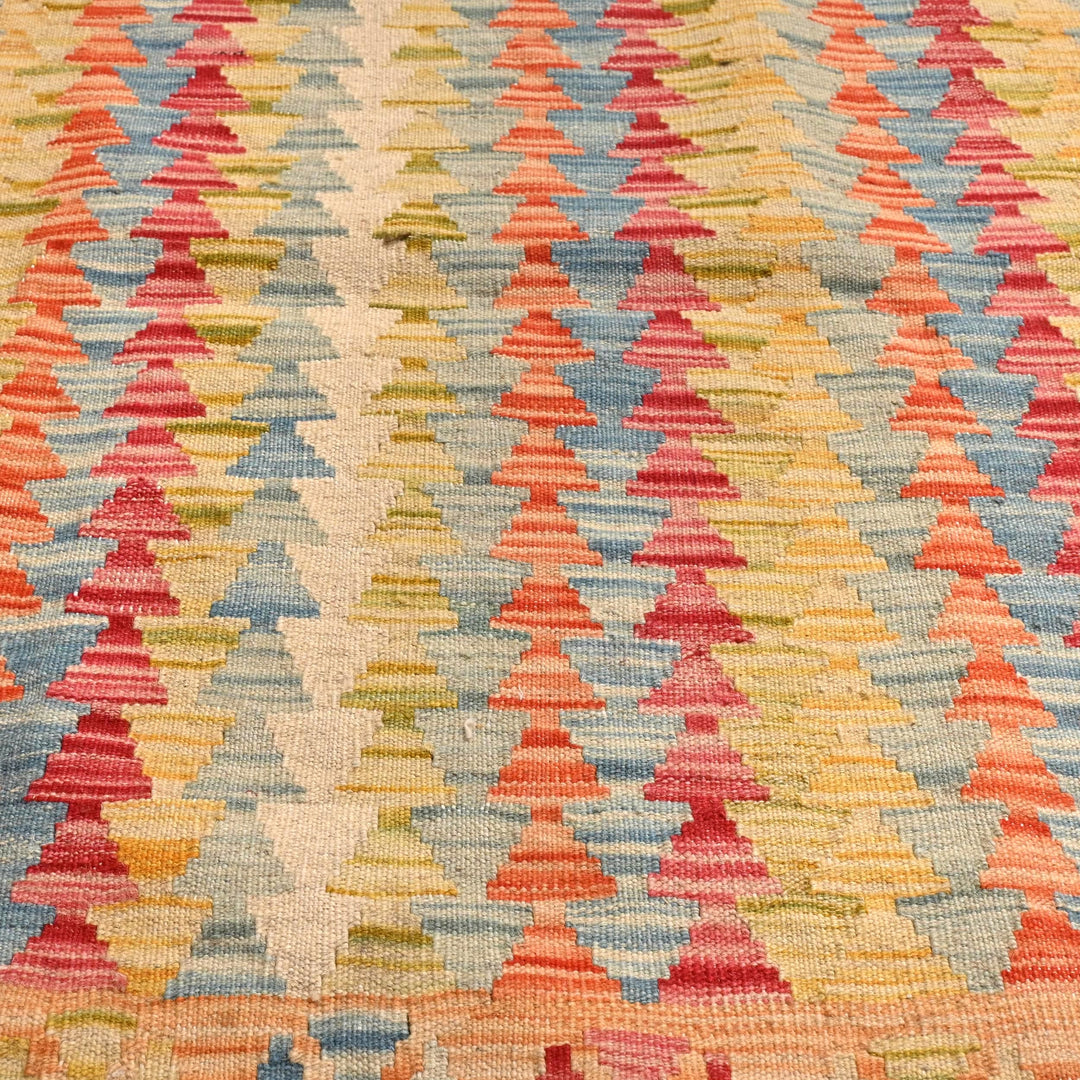 Afghani Kilim 3X6 FT