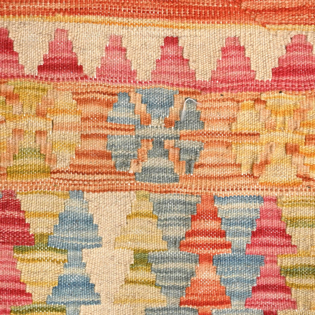 Afghani Kilim 3X6 FT