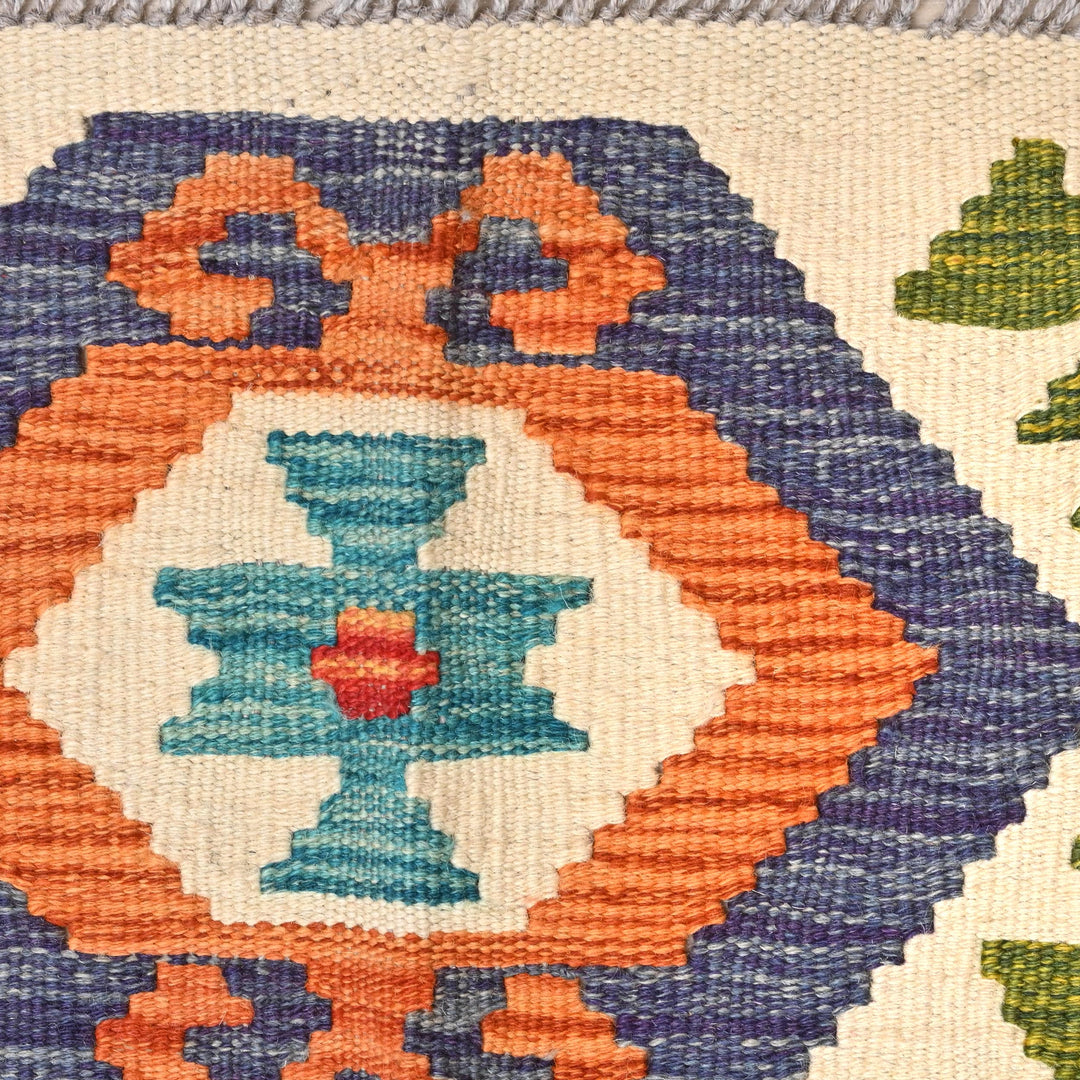 Afghani Kilim 2x3 FT