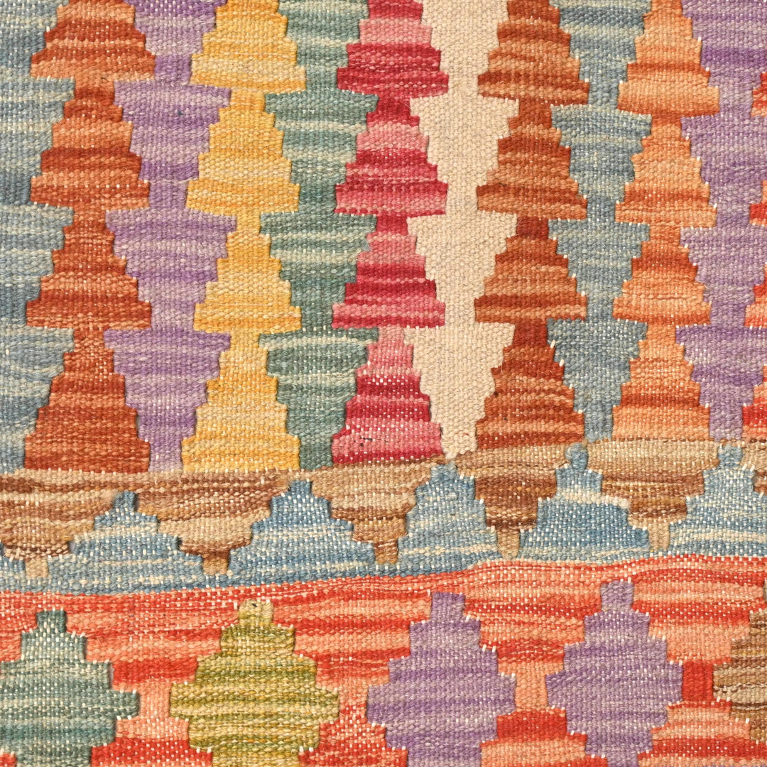 Afghani Kilim 3X6 FT