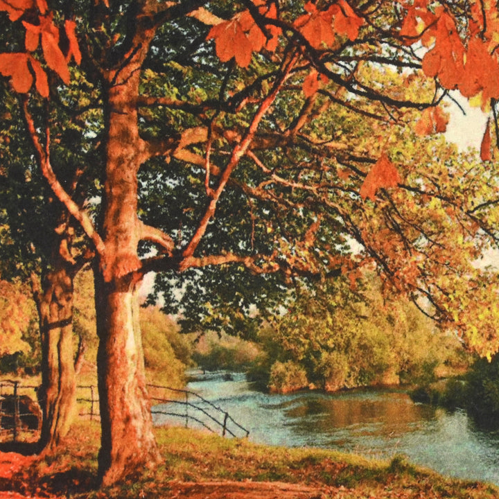 Frame Persian Pic 50x70 cm