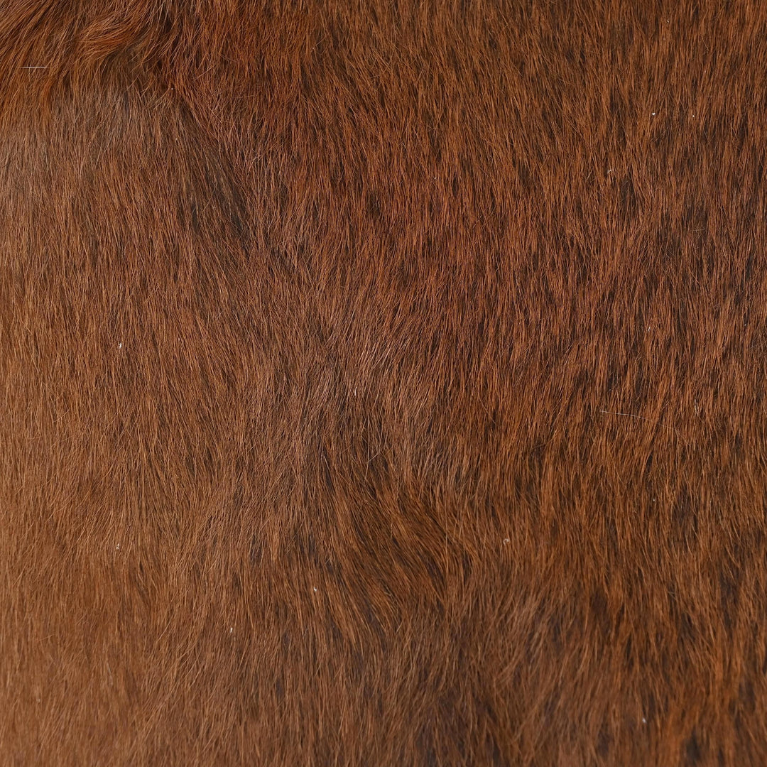 Brazilian Tricolour Cow Hide 4X4.5 FT