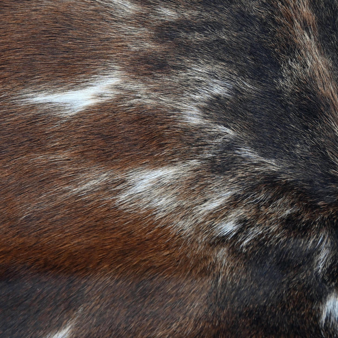 Speckled Tricolor Cowhide 4.5x4.5 FT