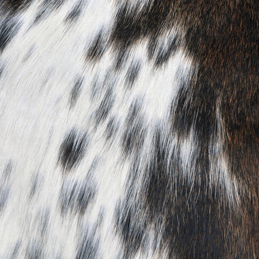 Speckled Tricolor Cowhide 4.5x4.5 FT