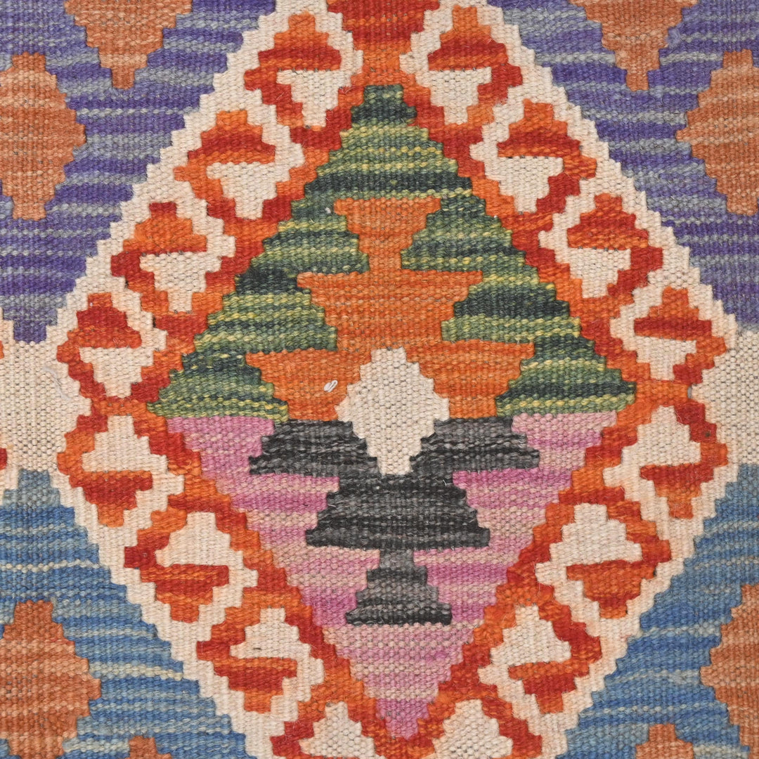 Afghani Kilim 3X5