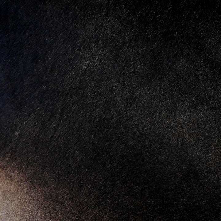 Mid Night Black Cow Hide 5.5X6 FT
