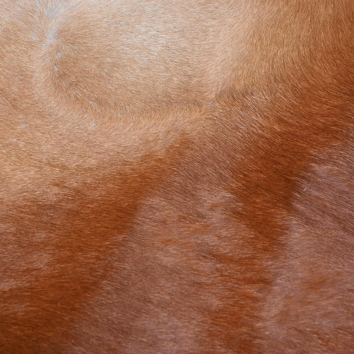 Brown Cow Hide 6.5x6.5 FT