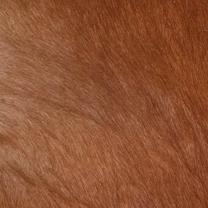 Brown Cow Hide 6.5x6.5 FT