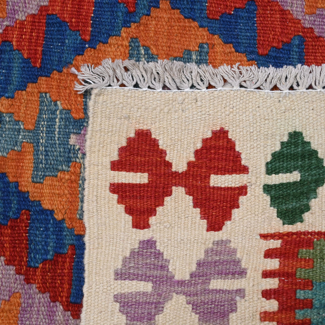 Afghani Kilim 2x6
