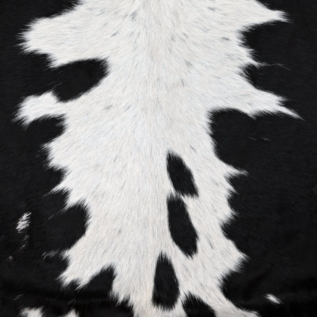 Black & White Spinal Blaze Cowhide 5.5x5.5 FT