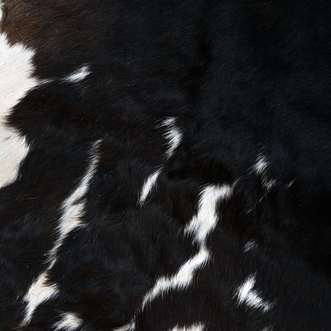 Black & White Spinal Blaze Cowhide 5.5x5.5 FT