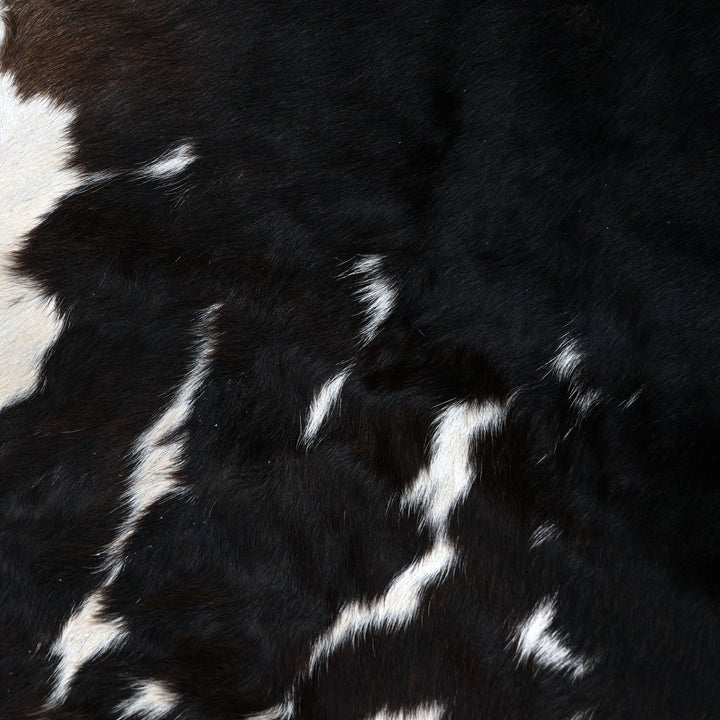 Black & White Spinal Blaze Cowhide 5.5x5.5 FT