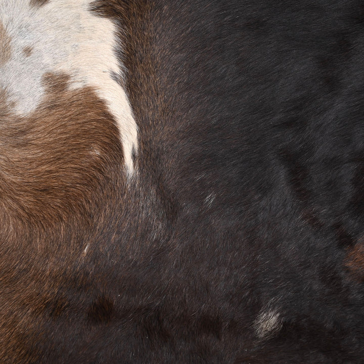 Deep Toned Speckle Accents Cowhide 6.5x6.5 FT