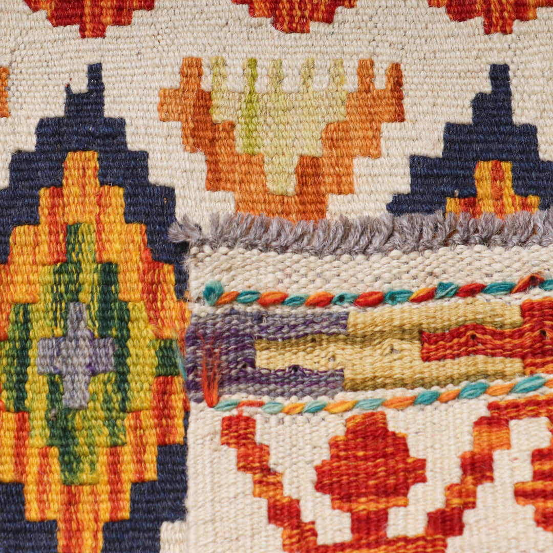 Afghani Kilim 2x3 FT