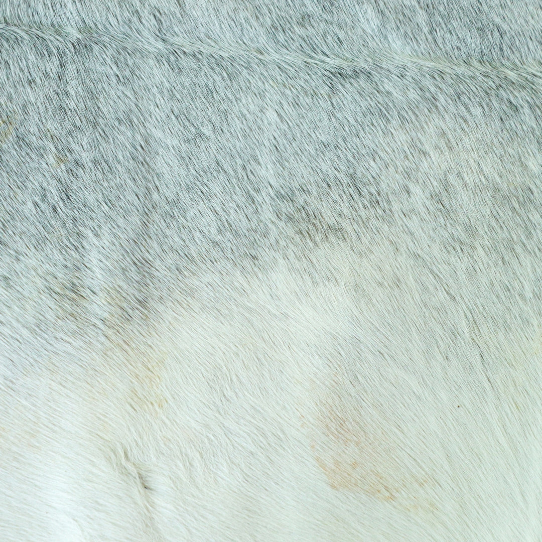 Grey plain Cow Hide 5.5X6 FT