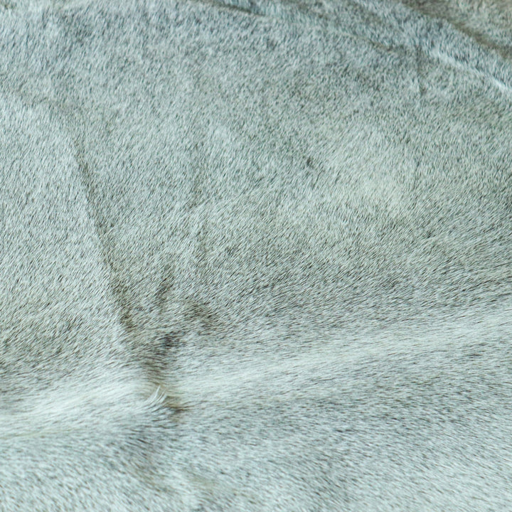 Grey plain Cow Hide 5.5X6 FT