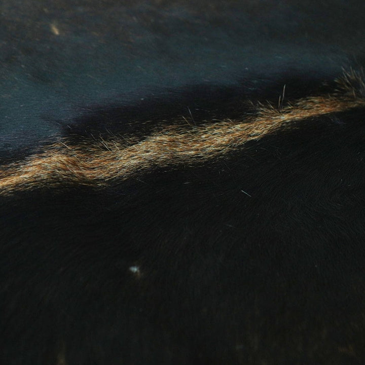 Mid Night Black Cow Hide 5X5 FT