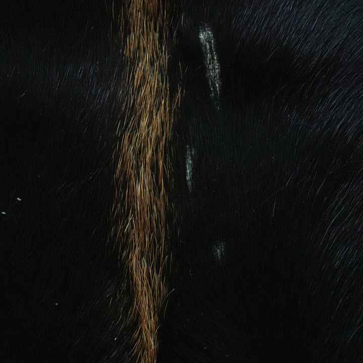 Mid Night Black Cow Hide 5X5 FT