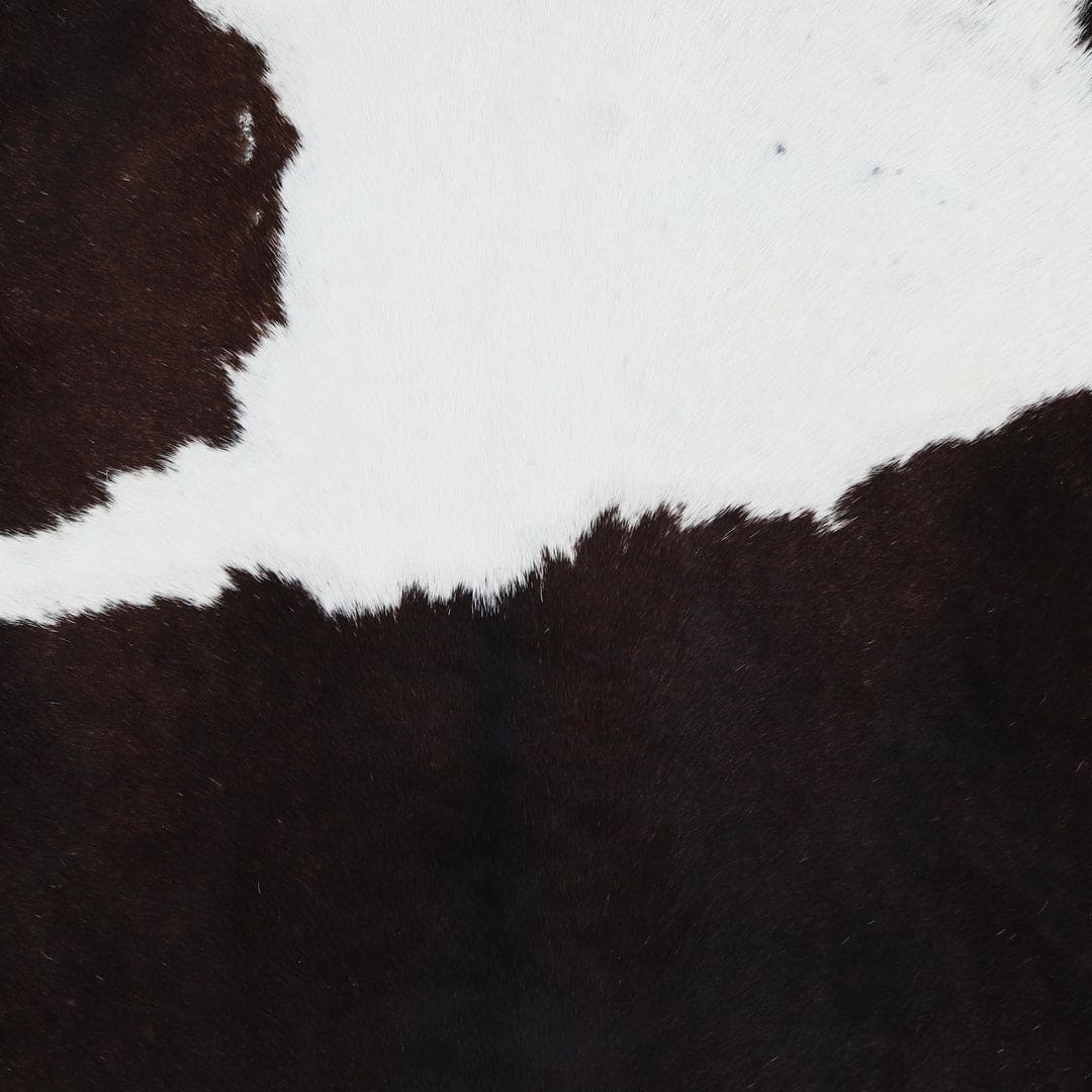 Cow Skin Patchwork Rug 4x6 ft