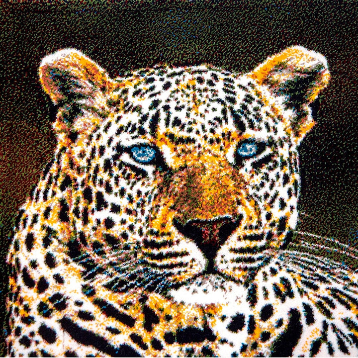 Persian Pic 50X100 CM