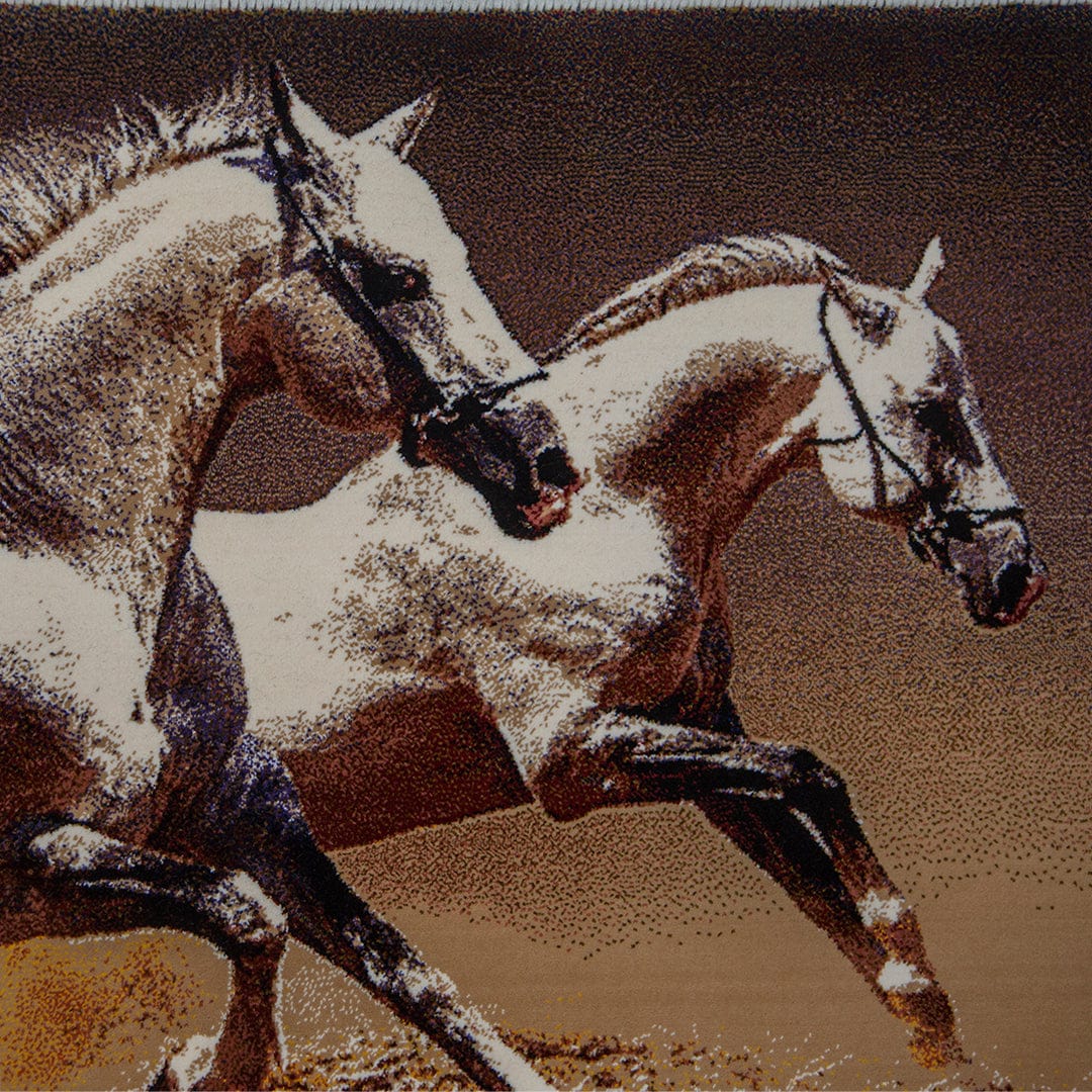 Persian Pic 50X100 CM