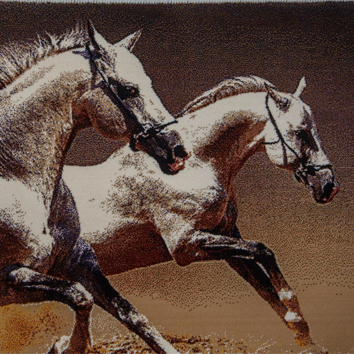 Persian Pic 50X100 CM