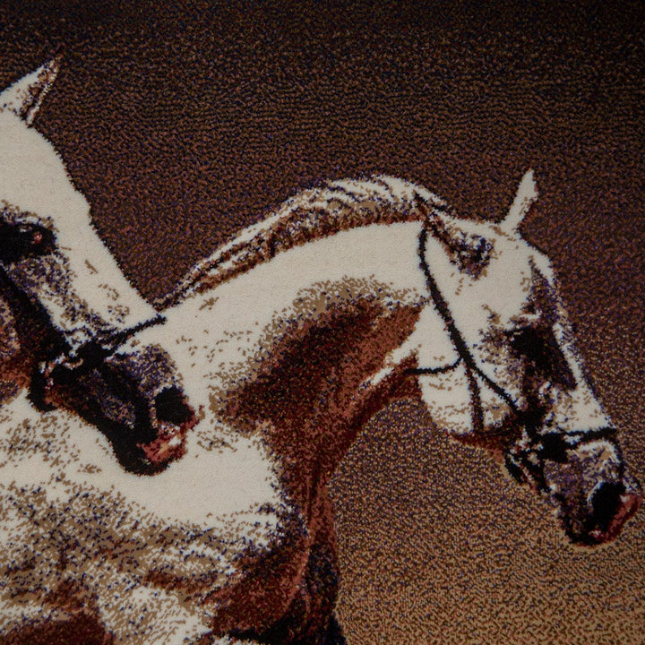 Persian Pic 50X100 CM